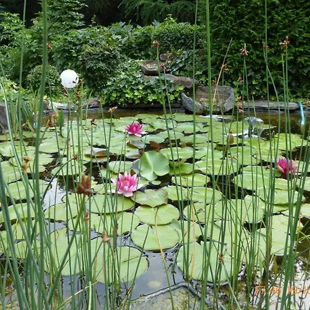 Habichtstal Appartement